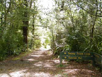 Swamp track sign